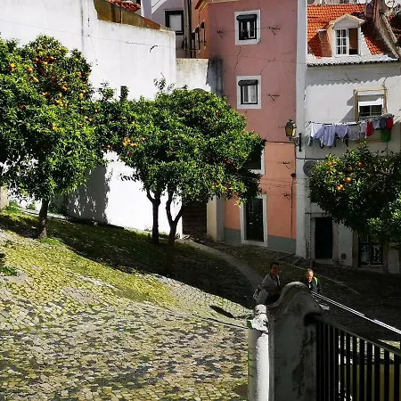 My Alfama *